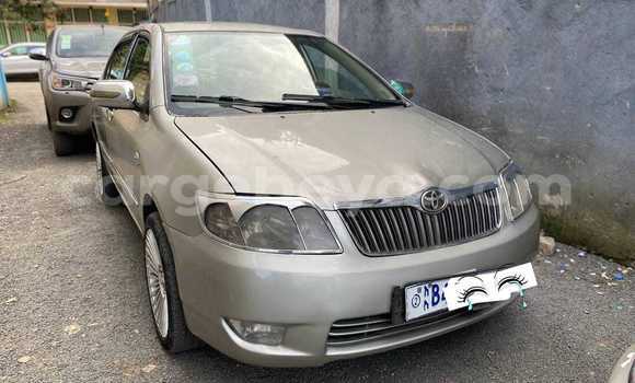 Buy Used Toyota Corolla Other Car in Addis–Ababa in Ethiopia Buy Used Toyota Corolla Other Car in Addis–Ababa in Ethiopia