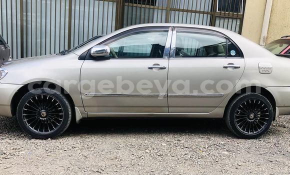 Buy Used Toyota Corolla Other Car in Addis–Ababa in Ethiopia Buy Used Toyota Corolla Other Car in Addis–Ababa in Ethiopia