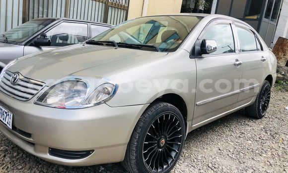 Buy Used Toyota Corolla Other Car in Addis–Ababa in Ethiopia Buy Used Toyota Corolla Other Car in Addis–Ababa in Ethiopia
