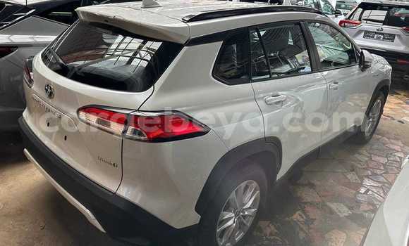 ይግዙ ያገለገለ Toyota Corolla ነጭ መኪና በ አዲስ አበባ በ ኢትዮጵያ ይግዙ ያገለገለ Toyota Corolla ነጭ መኪና በ አዲስ አበባ በ ኢትዮጵያ