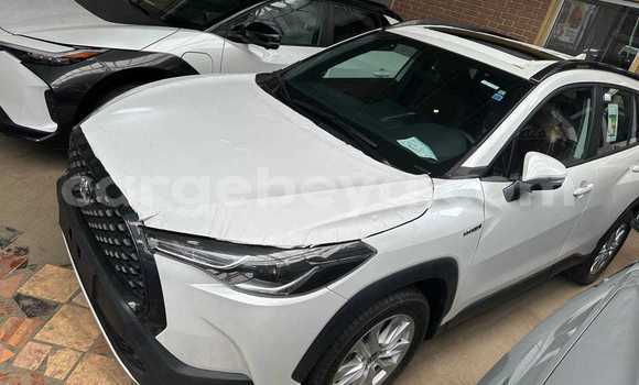 Oofamaa Toyota C-HR White Makiinaa iti Addis 'Alem keessatti Amhara keessatti