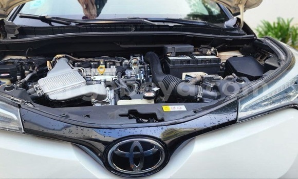 ይግዙ ያገለገለ Toyota C-HR ነጭ መኪና በ አዲስ አለም በ አማራ ይግዙ ያገለገለ Toyota C-HR ነጭ መኪና በ አዲስ አለም በ አማራ