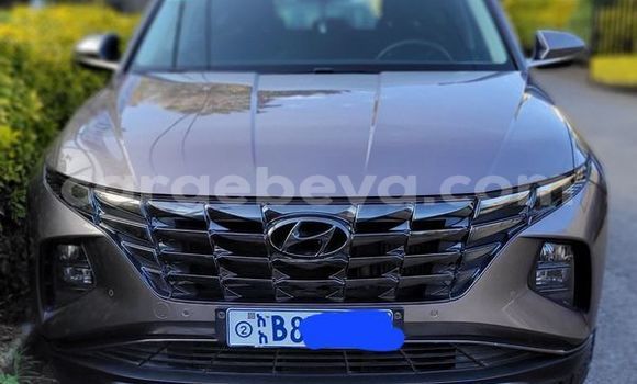 Buy Used Hyundai Tucson Other Car in Addis Zemen in Amhara