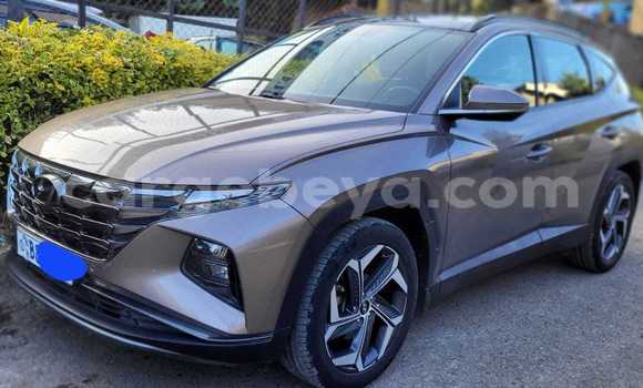 ይግዙ ያገለገለ Hyundai Tucson ሌላ መኪና በ አዲስ ዘመን በ አማራ ይግዙ ያገለገለ Hyundai Tucson ሌላ መኪና በ አዲስ ዘመን በ አማራ
