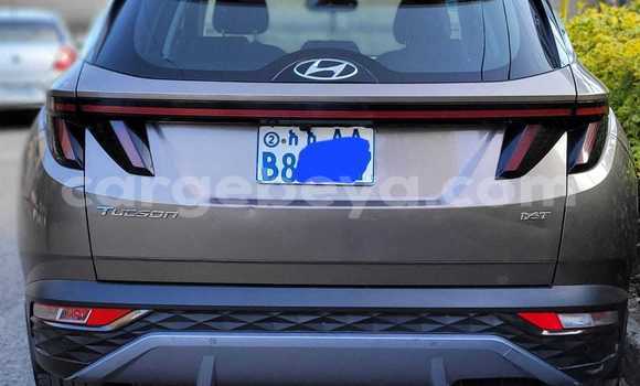 ይግዙ ያገለገለ Hyundai Tucson ሌላ መኪና በ አዲስ ዘመን በ አማራ ይግዙ ያገለገለ Hyundai Tucson ሌላ መኪና በ አዲስ ዘመን በ አማራ