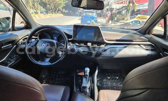 Acheter Occasion Voiture Toyota C-HR Autre à Addis Ababa, Ethiopie