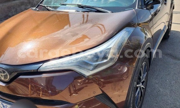 ይግዙ ያገለገለ Toyota C-HR ሌላ መኪና በ አዲስ አበባ በ ኢትዮጵያ ይግዙ ያገለገለ Toyota C-HR ሌላ መኪና በ አዲስ አበባ በ ኢትዮጵያ