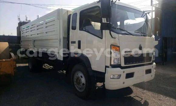 Buy Used Hyundai H200 White Truck in Addiet–Canna in Ethiopia Buy Used Hyundai H200 White Truck in Addiet–Canna in Ethiopia