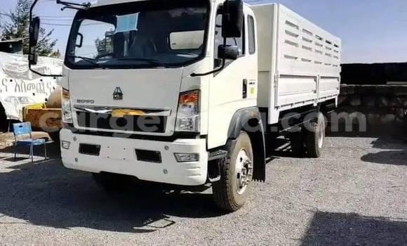 Buy Used Hyundai H200 White Truck in Addiet–Canna in Ethiopia Buy Used Hyundai H200 White Truck in Addiet–Canna in Ethiopia