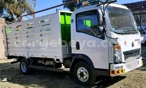 Buy Used Isuzu FTR 850 White Truck in Addis–Ababa in Ethiopia