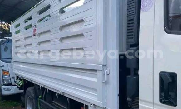 Buy Used Isuzu FTR 850 White Truck in Addis–Ababa in Ethiopia Buy Used Isuzu FTR 850 White Truck in Addis–Ababa in Ethiopia