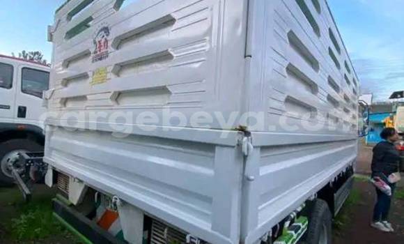 Buy Used Isuzu FTR 850 White Truck in Addis–Ababa in Ethiopia Buy Used Isuzu FTR 850 White Truck in Addis–Ababa in Ethiopia