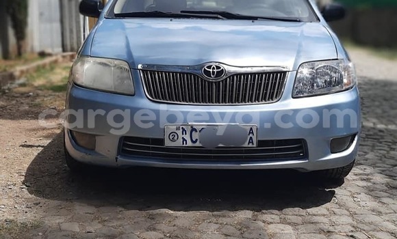 Buy Used Toyota Corolla Blue Car in Addis–Ababa in Ethiopia Buy Used Toyota Corolla Blue Car in Addis–Ababa in Ethiopia
