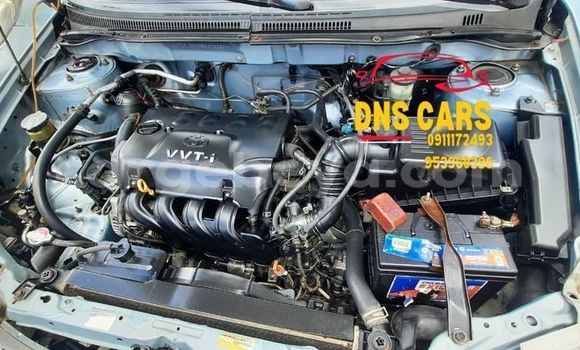 Buy Used Toyota Corolla Blue Car in Addis–Ababa in Ethiopia Buy Used Toyota Corolla Blue Car in Addis–Ababa in Ethiopia