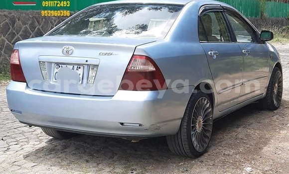 Buy Used Toyota Corolla Blue Car in Addis–Ababa in Ethiopia Buy Used Toyota Corolla Blue Car in Addis–Ababa in Ethiopia