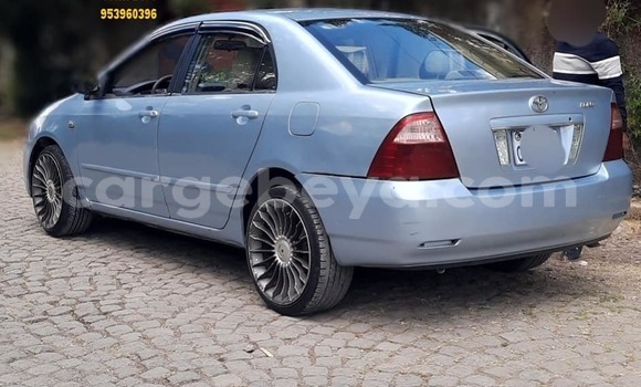 Buy Used Toyota Corolla Blue Car in Addis–Ababa in Ethiopia Buy Used Toyota Corolla Blue Car in Addis–Ababa in Ethiopia