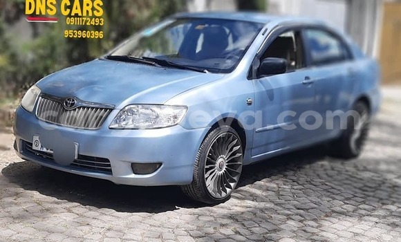 Buy Used Toyota Corolla Blue Car in Addis–Ababa in Ethiopia Buy Used Toyota Corolla Blue Car in Addis–Ababa in Ethiopia