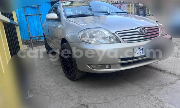 Buy Used Toyota Corolla Other Car in Addis–Ababa in Ethiopia