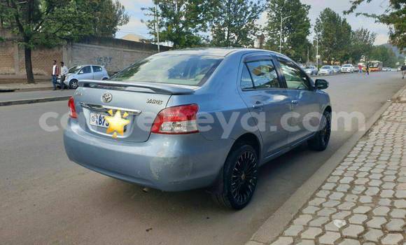 Acheter Occasion Voiture Toyota Yaris Bleu à Addis Ababa, Ethiopie Acheter Occasion Voiture Toyota Yaris Bleu à Addis Ababa, Ethiopie