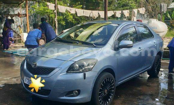 Acheter Occasion Voiture Toyota Yaris Bleu à Addis Ababa, Ethiopie Acheter Occasion Voiture Toyota Yaris Bleu à Addis Ababa, Ethiopie