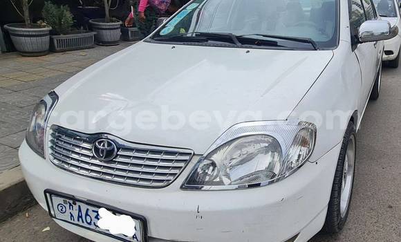 Buy Used Toyota Corolla White Car in Addis–Ababa in Ethiopia Buy Used Toyota Corolla White Car in Addis–Ababa in Ethiopia