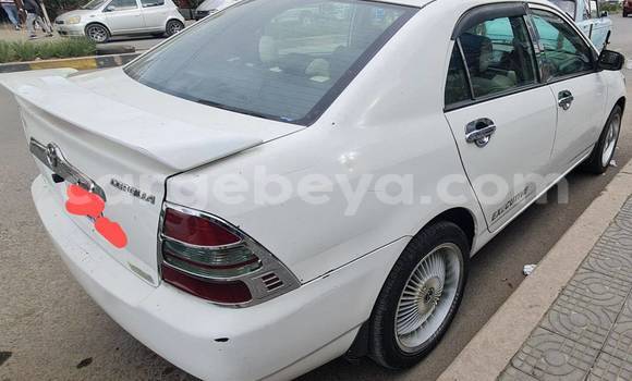 Acheter Occasion Voiture Toyota Corolla Blanc à Addis Ababa, Ethiopie Acheter Occasion Voiture Toyota Corolla Blanc à Addis Ababa, Ethiopie