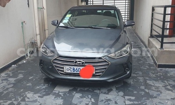 Buy Used Hyundai Avante Other Car in Addis–Ababa in Ethiopia