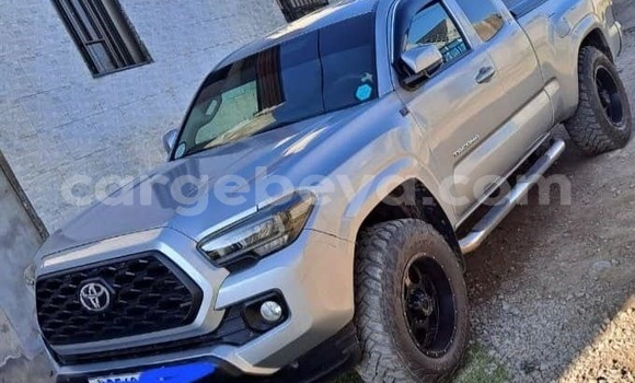 Acheter Occasion Voiture Toyota Tacoma Autre à Addis Ababa, Ethiopie Acheter Occasion Voiture Toyota Tacoma Autre à Addis Ababa, Ethiopie