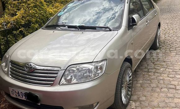 Oofamaa Toyota Corolla Other Makiinaa iti Addis–Ababa keessatti Ethiopia keessatti