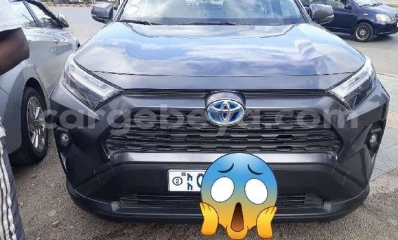 ይግዙ ያገለገለ Toyota RAV4 ሌላ መኪና በ አዲስ አበባ በ ኢትዮጵያ