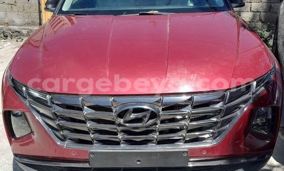 Buy Used Hyundai Tucson Red Car in Addis–Ababa in Ethiopia Buy Used Hyundai Tucson Red Car in Addis–Ababa in Ethiopia