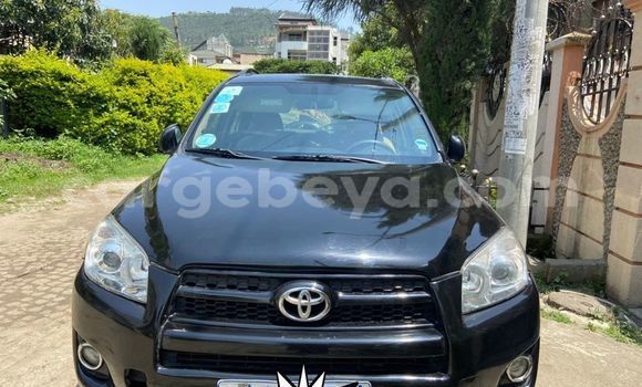 Buy Used Toyota RAV4 Black Car in Addis–Ababa in Ethiopia Buy Used Toyota RAV4 Black Car in Addis–Ababa in Ethiopia
