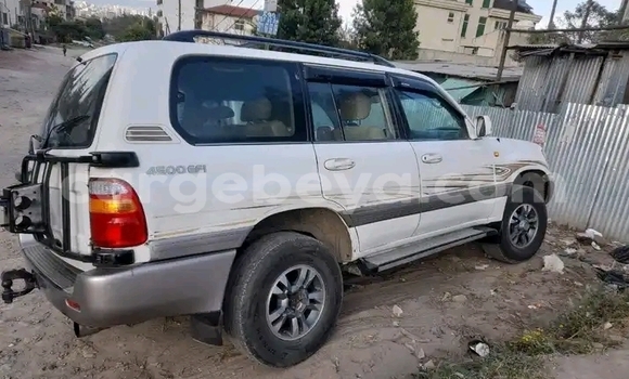 Buy Used Toyota Land Cruiser White Car in Addis–Ababa in Ethiopia Buy Used Toyota Land Cruiser White Car in Addis–Ababa in Ethiopia