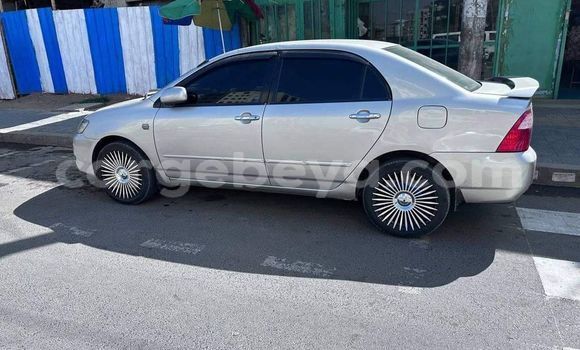 ይግዙ ያገለገለ Toyota Corolla ነጭ መኪና በ አዲስ አበባ በ ኢትዮጵያ ይግዙ ያገለገለ Toyota Corolla ነጭ መኪና በ አዲስ አበባ በ ኢትዮጵያ
