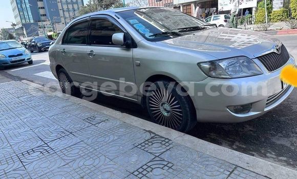 ይግዙ ያገለገለ Toyota Corolla ነጭ መኪና በ አዲስ አበባ በ ኢትዮጵያ ይግዙ ያገለገለ Toyota Corolla ነጭ መኪና በ አዲስ አበባ በ ኢትዮጵያ