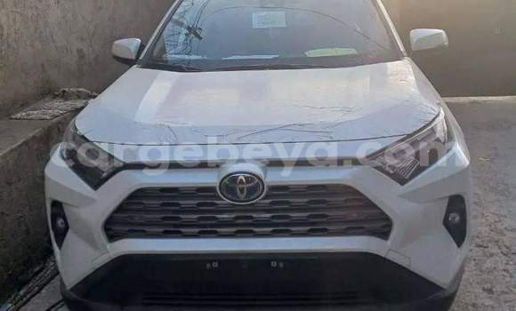 Oofamaa Toyota RAV4 White Makiinaa iti Addis–Ababa keessatti Ethiopia keessatti