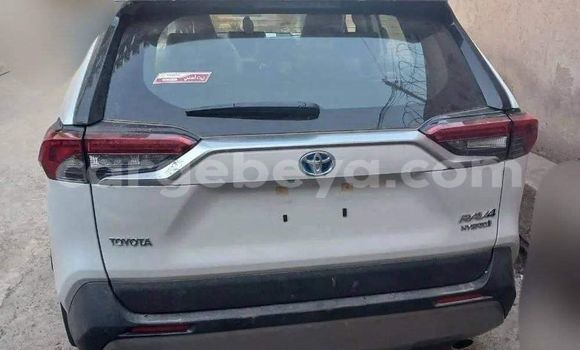 ይግዙ ያገለገለ Toyota RAV4 ነጭ መኪና በ አዲስ አበባ በ ኢትዮጵያ ይግዙ ያገለገለ Toyota RAV4 ነጭ መኪና በ አዲስ አበባ በ ኢትዮጵያ