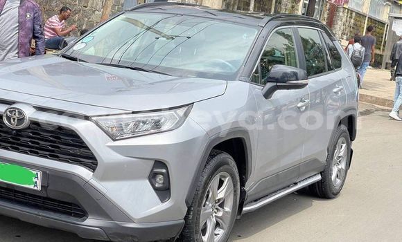 ይግዙ ያገለገለ Toyota RAV4 ሌላ መኪና በ አዲስ አበባ በ ኢትዮጵያ ይግዙ ያገለገለ Toyota RAV4 ሌላ መኪና በ አዲስ አበባ በ ኢትዮጵያ
