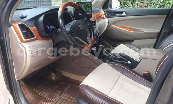 Acheter Occasion Voiture Hyundai Tucson Autre à Addiet–Canna, Ethiopie Acheter Occasion Voiture Hyundai Tucson Autre à Addiet–Canna, Ethiopie