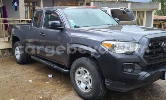 Acheter Occasion Voiture Toyota Tacoma Noir à Addiet–Canna, Ethiopie Acheter Occasion Voiture Toyota Tacoma Noir à Addiet–Canna, Ethiopie