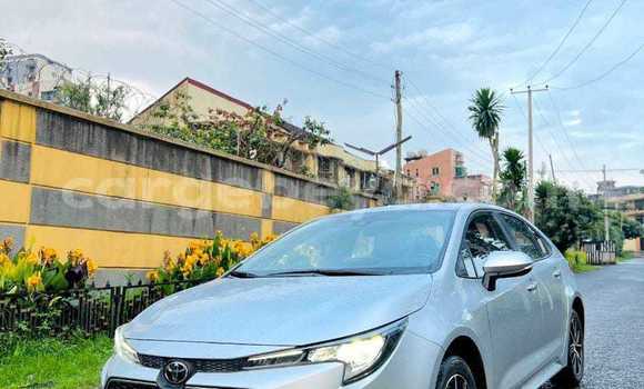 Buy Used Toyota Corolla White Car in Abomsa in Oromia