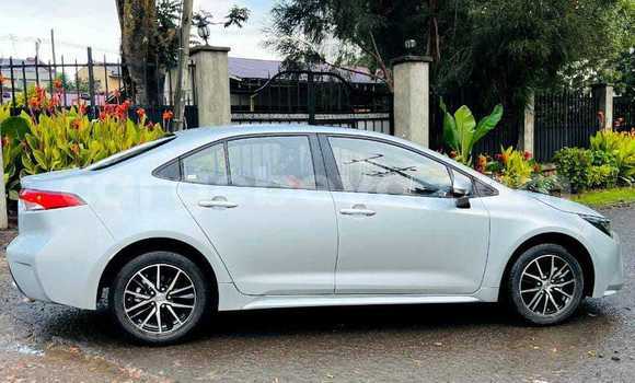Acheter Occasion Voiture Toyota Corolla Blanc à Abomsa, Oromia Acheter Occasion Voiture Toyota Corolla Blanc à Abomsa, Oromia