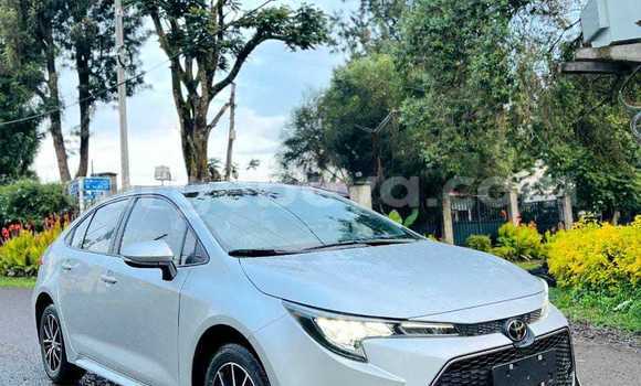 Acheter Occasion Voiture Toyota Corolla Blanc à Abomsa, Oromia Acheter Occasion Voiture Toyota Corolla Blanc à Abomsa, Oromia
