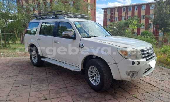 Buy Used Ford Everest White Car in Addigrat in Tigray