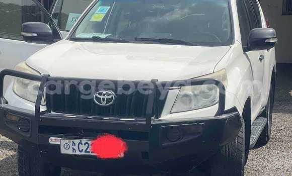 Buy Used Toyota Prado White Car in Addiet–Canna in Ethiopia