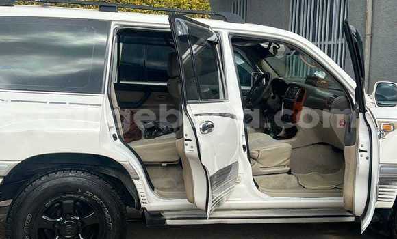 Acheter Occasion Voiture Toyota Land Cruiser Blanc à Addis Ababa, Ethiopie Acheter Occasion Voiture Toyota Land Cruiser Blanc à Addis Ababa, Ethiopie