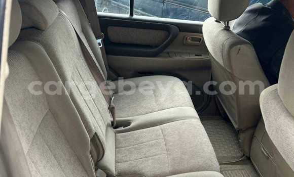Acheter Occasion Voiture Toyota Land Cruiser Blanc à Addis Ababa, Ethiopie Acheter Occasion Voiture Toyota Land Cruiser Blanc à Addis Ababa, Ethiopie