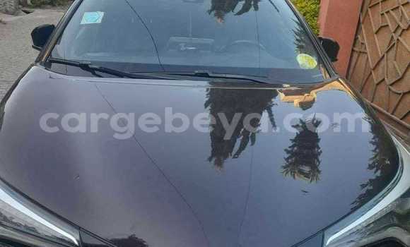 Acheter Occasion Voiture Toyota C-HR Noir à Addis Ababa, Ethiopie Acheter Occasion Voiture Toyota C-HR Noir à Addis Ababa, Ethiopie