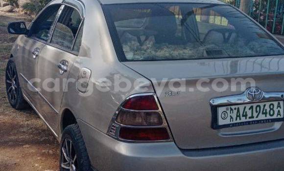 Buy Used Toyota Corolla Other Car in Addis–Ababa in Ethiopia Buy Used Toyota Corolla Other Car in Addis–Ababa in Ethiopia