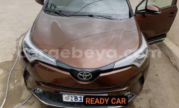 Buy Used Toyota C-HR Other Car in Addis–Ababa in Ethiopia Buy Used Toyota C-HR Other Car in Addis–Ababa in Ethiopia